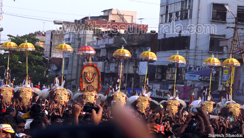 thrissur-pooram-2011- (81)
